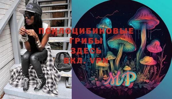 стафф Арсеньев