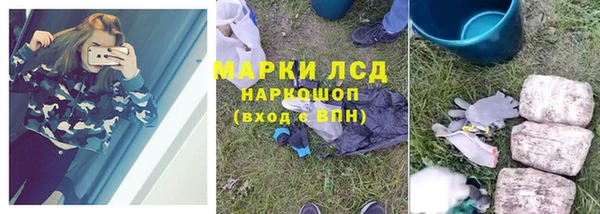 стафф Арсеньев